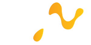 naadan-logo-white